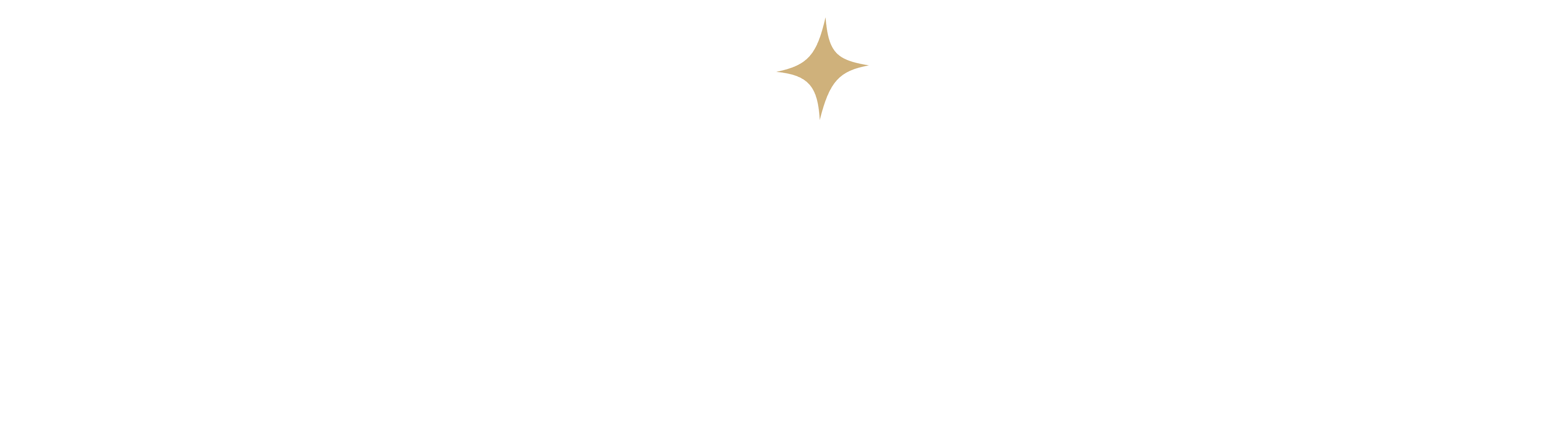 Imaginary wordmark, for dark backgrounds